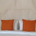 Luce Design - Special Category 阿拉恰特