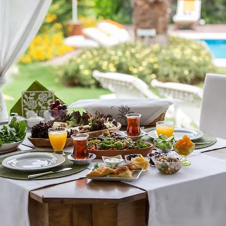 Luce Design - Special Category