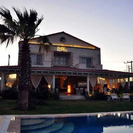 Luce Design - Special Category מלון