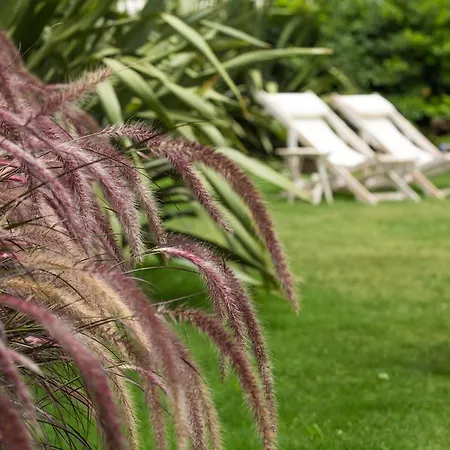 Luce Design - Special Category 4*