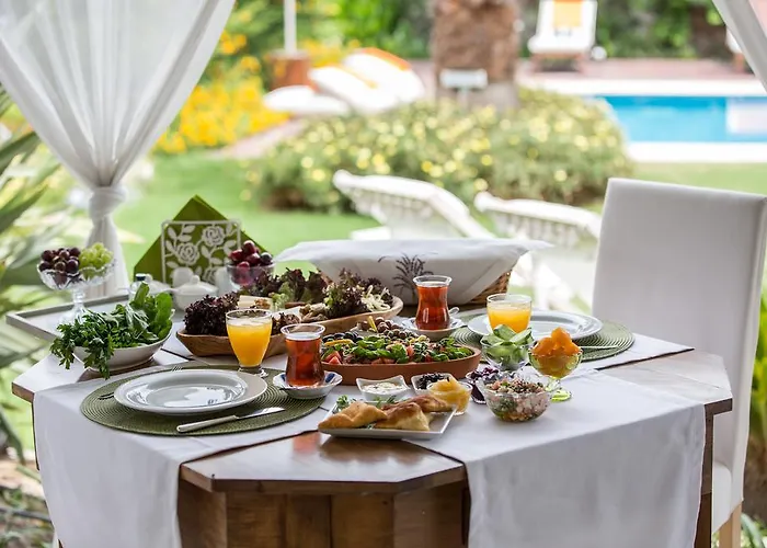 Luce Design - Special Category