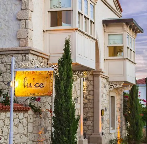 Luce Design - Special Category אלאקאטי