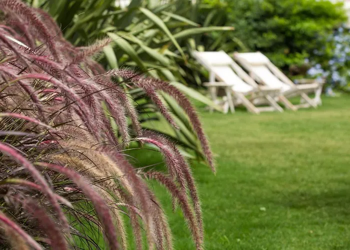 Luce Design - Special Category 4*